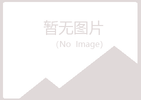 铜官山区冰枫工程有限公司